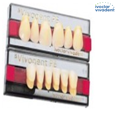 SR Vivodent PE Shade 220/1D, A10 Lower Anterior